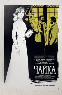 Чайка Чайка