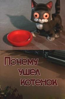 Почему ушел котенок Почему ушел котенок