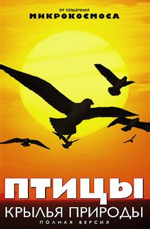 Птицы: Крылья природы