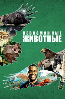Невозможные животные Невозможные животные